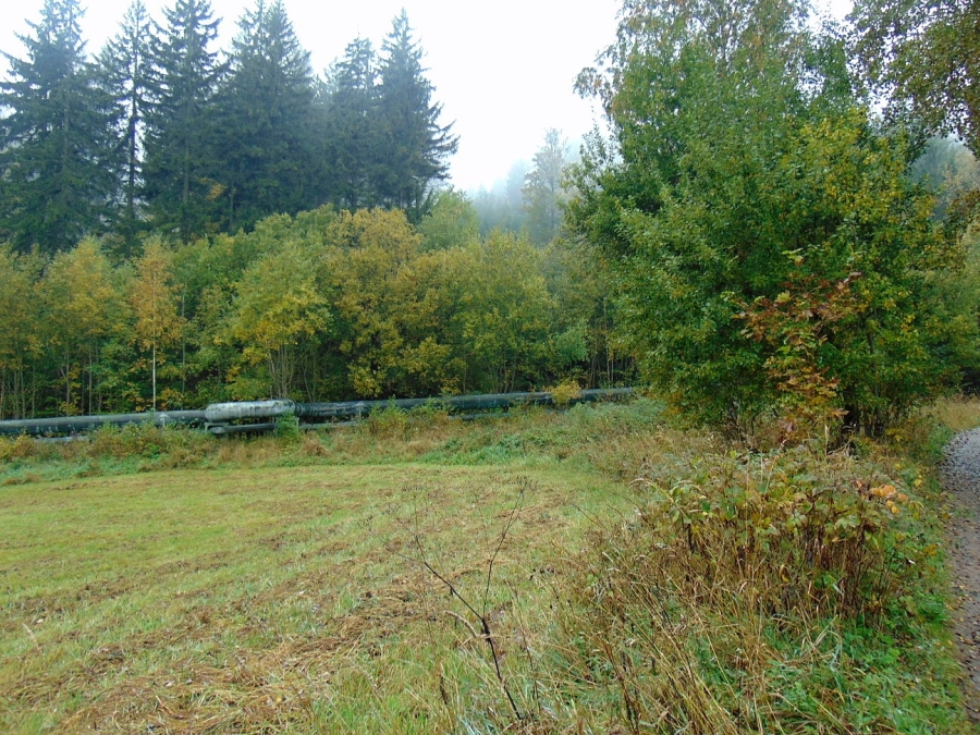 Foto 03